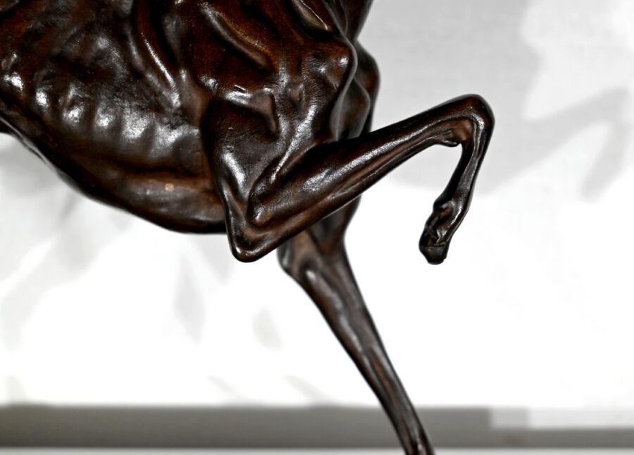 Sujet en Fonte à Patine Brune « Le Lévrier » - Fin XIXe – Image 7