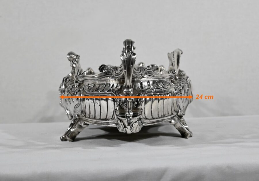 Jardinière en Bronze Argenté, style Louis XV – 2ème moitié XIXe – Image 18