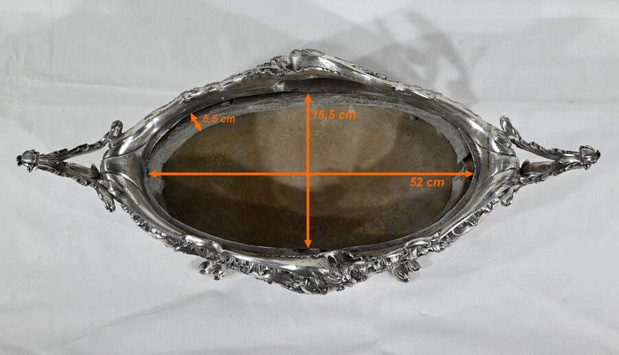 Jardinière en Bronze Argenté, style Louis XV – 2ème moitié XIXe – Image 19