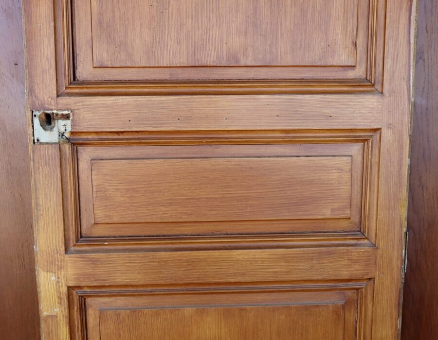 Portes de Propriété en Pitchpin - 1900 – Image 6
