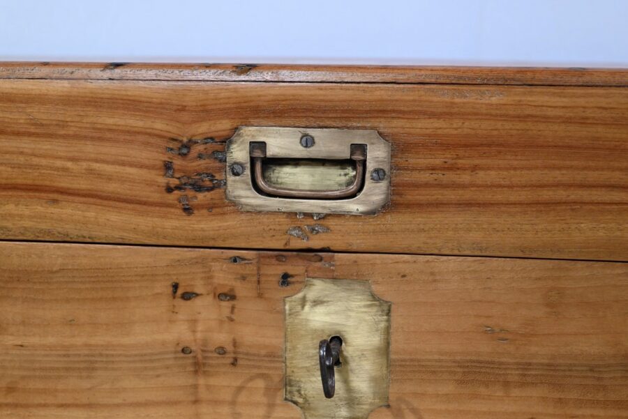 Importante Malle en Camphrier – Fin XIXe – Image 8