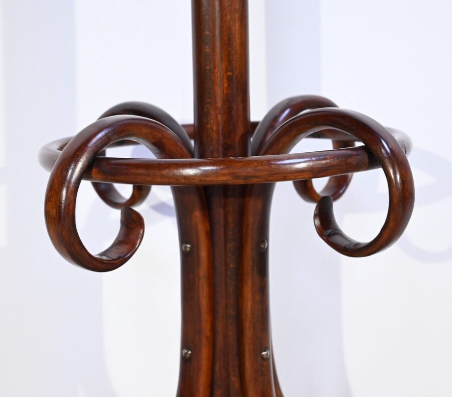 Perroquet Thonet, modèle, n°10.401 en Hêtre – 1ère Partie XXe – Image 12