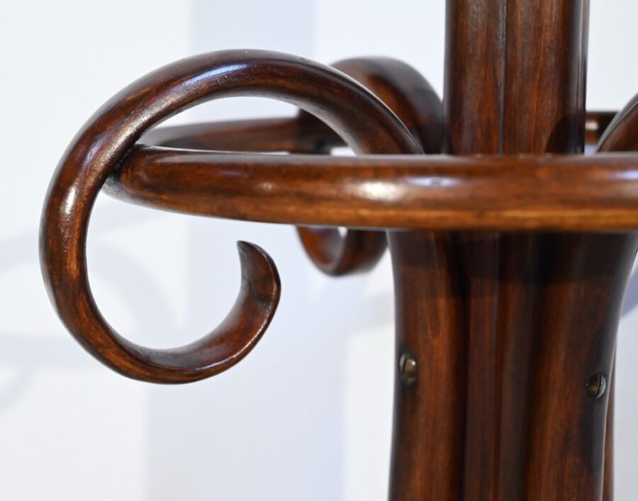 Perroquet Thonet, modèle, n°10.401 en Hêtre – 1ère Partie XXe – Image 13