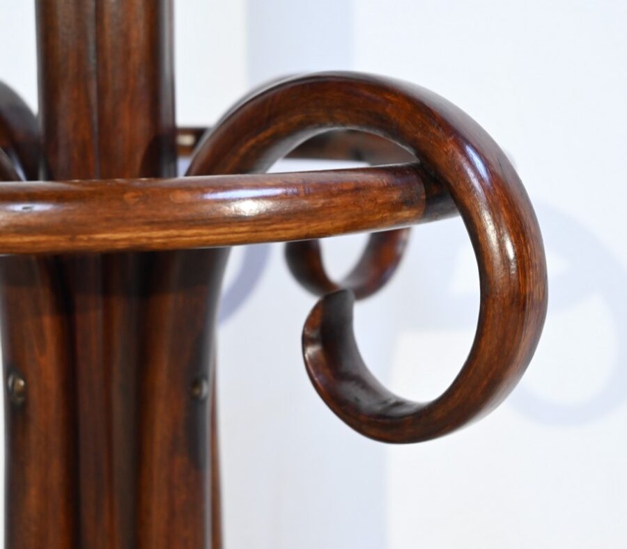 Perroquet Thonet, modèle, n°10.401 en Hêtre – 1ère Partie XXe – Image 14