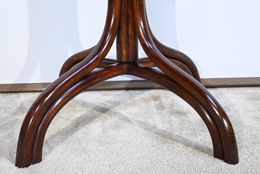 Perroquet Thonet, modèle, n°10.401 en Hêtre – 1ère Partie XXe – Image 15