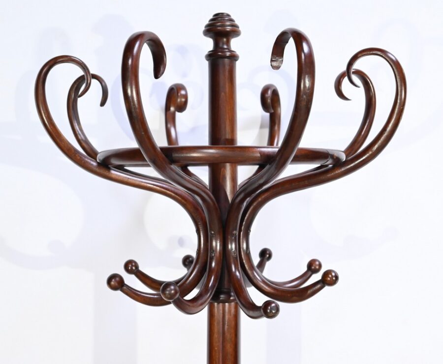 Perroquet Thonet, modèle, n°10.401 en Hêtre – 1ère Partie XXe – Image 4