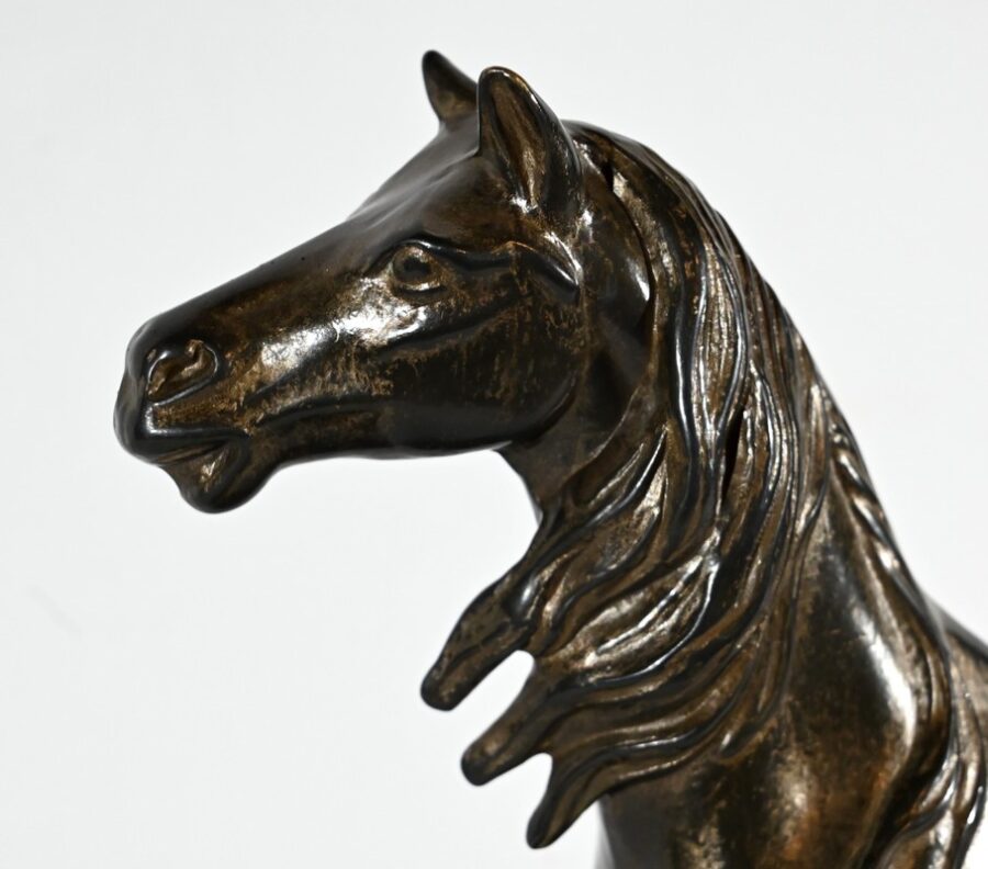 Cheval en Régule – Début XXe – Image 19