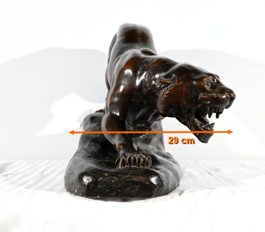 Sculpture en Terre Cuite Patinée « Tigre à l’Affût », signée T.Cartier – Début XXe – Image 21