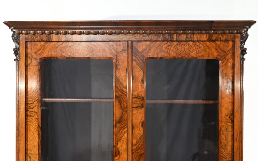 Bibliothèque en Ronce de Noyer, époque Restauration – Début XIXe – Image 7