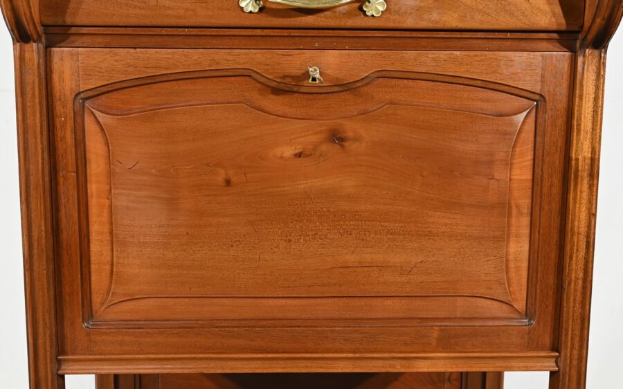 Meuble Bar en Acajou, attribué à la Maison E.Diot, Art Nouveau - 1900 – Image 18