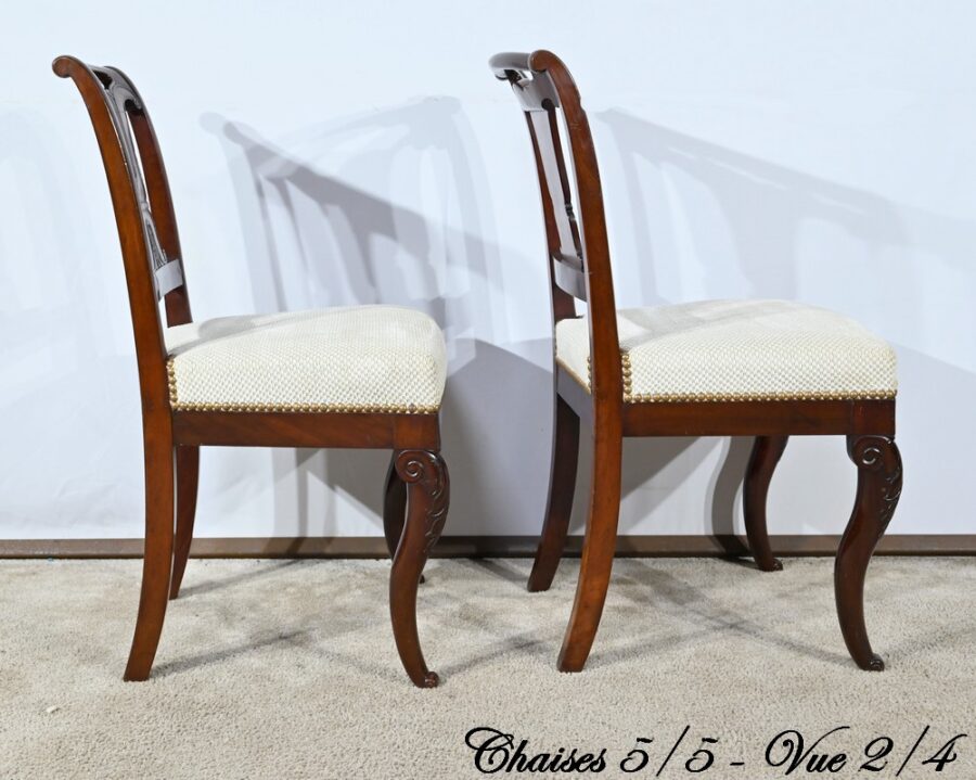 Suite de 5 Chaises en Acajou de Cuba, époque Restauration – Début XIXe – Image 20