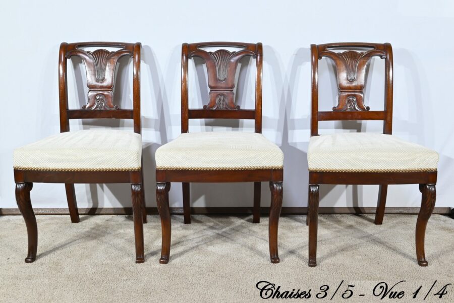Suite de 5 Chaises en Acajou de Cuba, époque Restauration – Début XIXe – Image 4