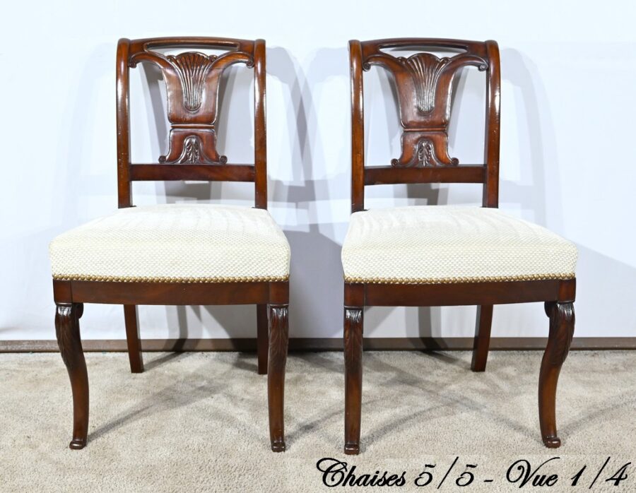 Suite de 5 Chaises en Acajou de Cuba, époque Restauration – Début XIXe – Image 5
