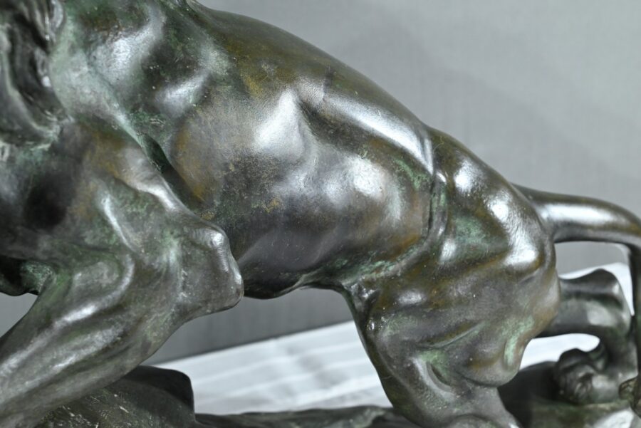 Bronze « Lion Rugissant », signé Nerin – Début XXe – Image 11