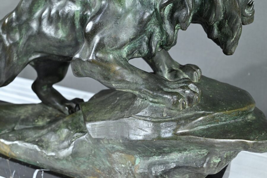 Bronze « Lion Rugissant », signé Nerin – Début XXe – Image 22