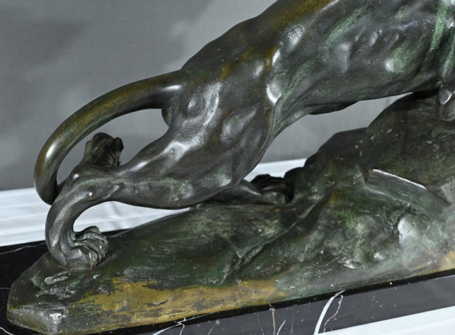 Bronze « Lion Rugissant », signé Nerin – Début XXe – Image 23