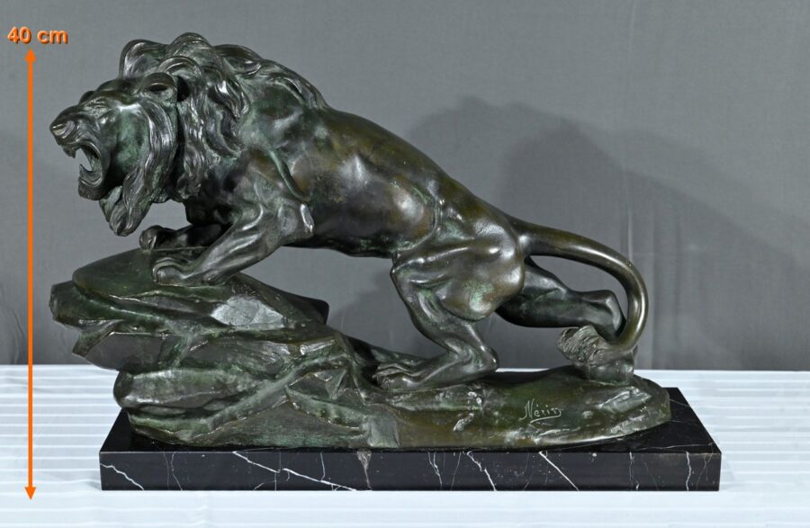 Bronze « Lion Rugissant », signé Nerin – Début XXe – Image 27