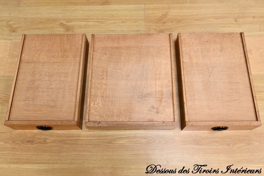 Buffet Commode Écritoire de Propriété, en Acajou et Citronnier, goût Restauration – 1ère Partie XIXe – Image 31