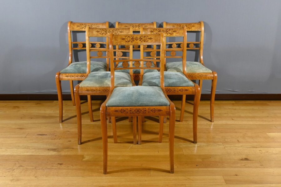 Chaises en Érable Moucheté, style Charles X - Milieu XXe