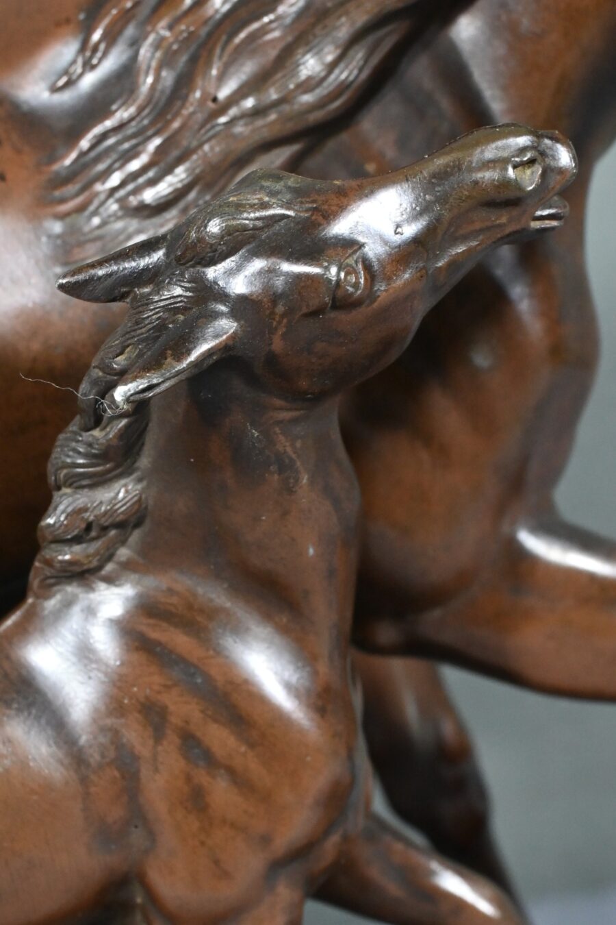Régule, Cheval et son Poulain, signé E. Loiseau – Début XXe – Image 13