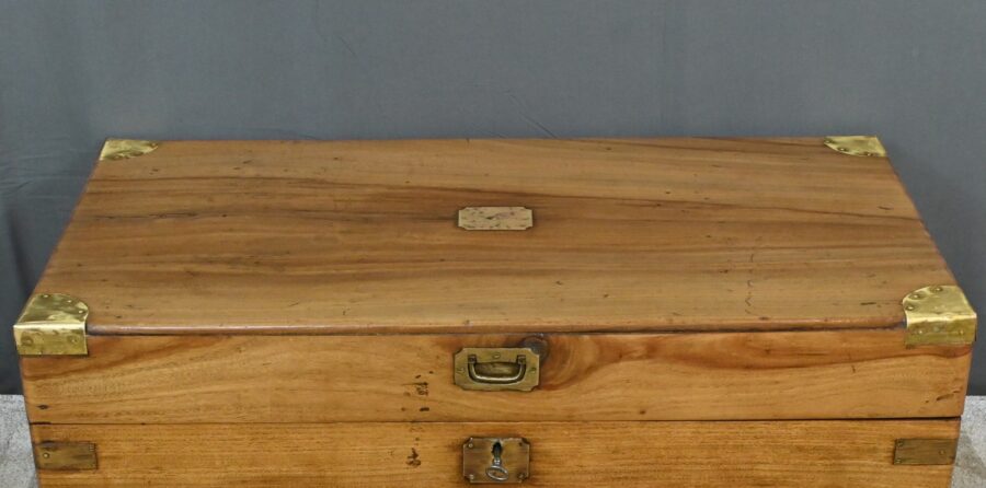 Malle de Marine en Camphrier, Indes – Fin XIXe – Image 4