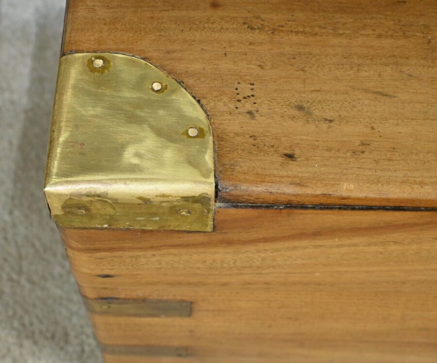 Malle de Marine en Camphrier, Indes – Fin XIXe – Image 5
