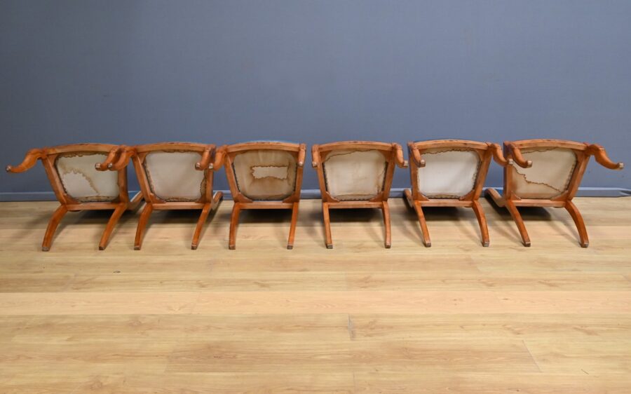 Suite de 6 Chaises en Erable et Merisier, style Charles X – Milieu XXe – Image 23